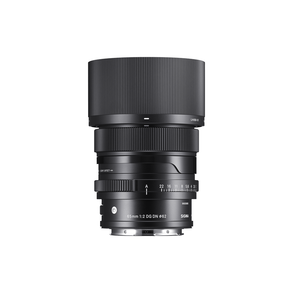 65mm F2 DG DN